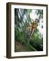 Recreational Mountain Biker Riding on the Trails-null-Framed Photographic Print