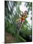 Recreational Mountain Biker Riding on the Trails-null-Mounted Photographic Print