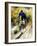 Recreational Mountain Biker Riding on the Trails-null-Framed Photographic Print