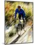 Recreational Mountain Biker Riding on the Trails-null-Mounted Photographic Print