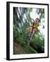 Recreational Mountain Biker Riding on the Trails-null-Framed Photographic Print