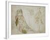 Recto: Studies of Costume-Antonio Pisanello-Framed Giclee Print