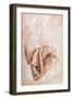 Recto Study of Drapery-Michelangelo Buonarroti-Framed Giclee Print