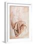 Recto Study of Drapery-Michelangelo Buonarroti-Framed Giclee Print