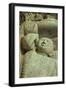 Recumbent Buddha, Gal Vihara (Granite) (Detail)-Sri Lankan-Framed Giclee Print