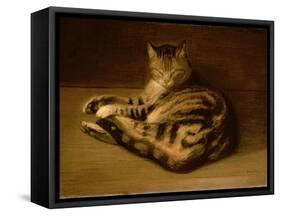 Recumbent Cat, 1898-Théophile Alexandre Steinlen-Framed Stretched Canvas