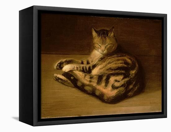 Recumbent Cat, 1898-Théophile Alexandre Steinlen-Framed Stretched Canvas