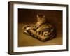 Recumbent Cat, 1898-Théophile Alexandre Steinlen-Framed Premium Giclee Print