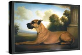 Recumbent Great Dane-Christine Merrill-Stretched Canvas