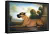 Recumbent Great Dane-Christine Merrill-Framed Stretched Canvas