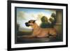 Recumbent Great Dane-Christine Merrill-Framed Art Print