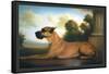 Recumbent Great Dane-Christine Merrill-Framed Stretched Canvas