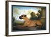 Recumbent Great Dane-Christine Merrill-Framed Art Print