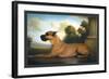 Recumbent Great Dane-Christine Merrill-Framed Art Print