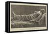 Recumbent Statue of the Late General Lee-null-Framed Stretched Canvas