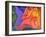 Recumbent-Guilherme Pontes-Framed Giclee Print