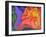 Recumbent-Guilherme Pontes-Framed Giclee Print