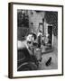 Recycling Pig Swill-null-Framed Photographic Print