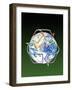 Recycling-Victor Habbick-Framed Photographic Print