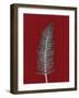 Red 5-Mary Margaret Briggs-Framed Giclee Print