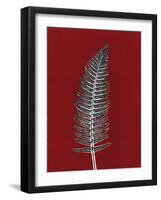 Red 5-Mary Margaret Briggs-Framed Giclee Print