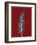 Red 5-Mary Margaret Briggs-Framed Giclee Print