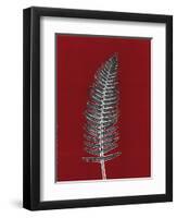 Red 5-Mary Margaret Briggs-Framed Giclee Print