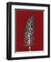 Red 5-Mary Margaret Briggs-Framed Giclee Print