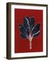 Red 7-Mary Margaret Briggs-Framed Giclee Print