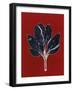 Red 7-Mary Margaret Briggs-Framed Giclee Print