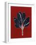 Red 7-Mary Margaret Briggs-Framed Giclee Print