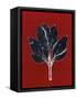 Red 7-Mary Margaret Briggs-Framed Stretched Canvas