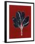 Red 7-Mary Margaret Briggs-Framed Giclee Print