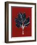 Red 7-Mary Margaret Briggs-Framed Giclee Print