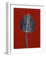 Red 8-Mary Margaret Briggs-Framed Giclee Print