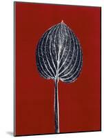 Red 8-Mary Margaret Briggs-Mounted Giclee Print