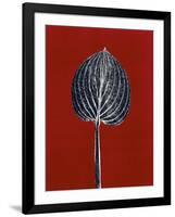 Red 8-Mary Margaret Briggs-Framed Giclee Print