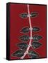 Red 9-Mary Margaret Briggs-Framed Stretched Canvas