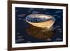 Red Abalone (Haliotis Rufescens) Half Shell on Sandy Beach-Lynn M^ Stone-Framed Photographic Print