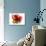 Red Abstract Brush Splash Flower I-Irena Orlov-Art Print displayed on a wall