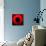 Red Abstract Circle-Ana de Sousa-Art Print displayed on a wall