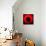 Red Abstract Circle-Ana de Sousa-Art Print displayed on a wall