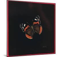 Red Admiral Butterfly, 2001-Amelia Kleiser-Mounted Giclee Print