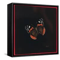 Red Admiral Butterfly, 2001-Amelia Kleiser-Framed Stretched Canvas