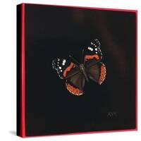 Red Admiral Butterfly, 2001-Amelia Kleiser-Stretched Canvas