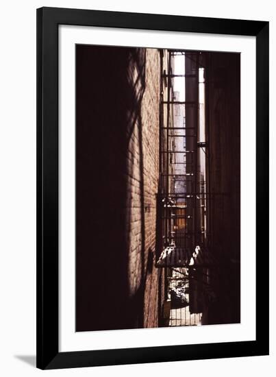 Red Alley-Evan Morris Cohen-Framed Photographic Print