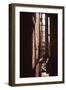 Red Alley-Evan Morris Cohen-Framed Photographic Print