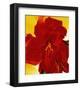 Red Amaryllis, 1937-Georgia O'Keeffe-Framed Art Print