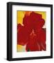 Red Amaryllis, 1937-Georgia O'Keeffe-Framed Art Print