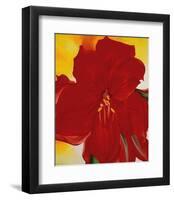 Red Amaryllis, 1937-Georgia O'Keeffe-Framed Art Print